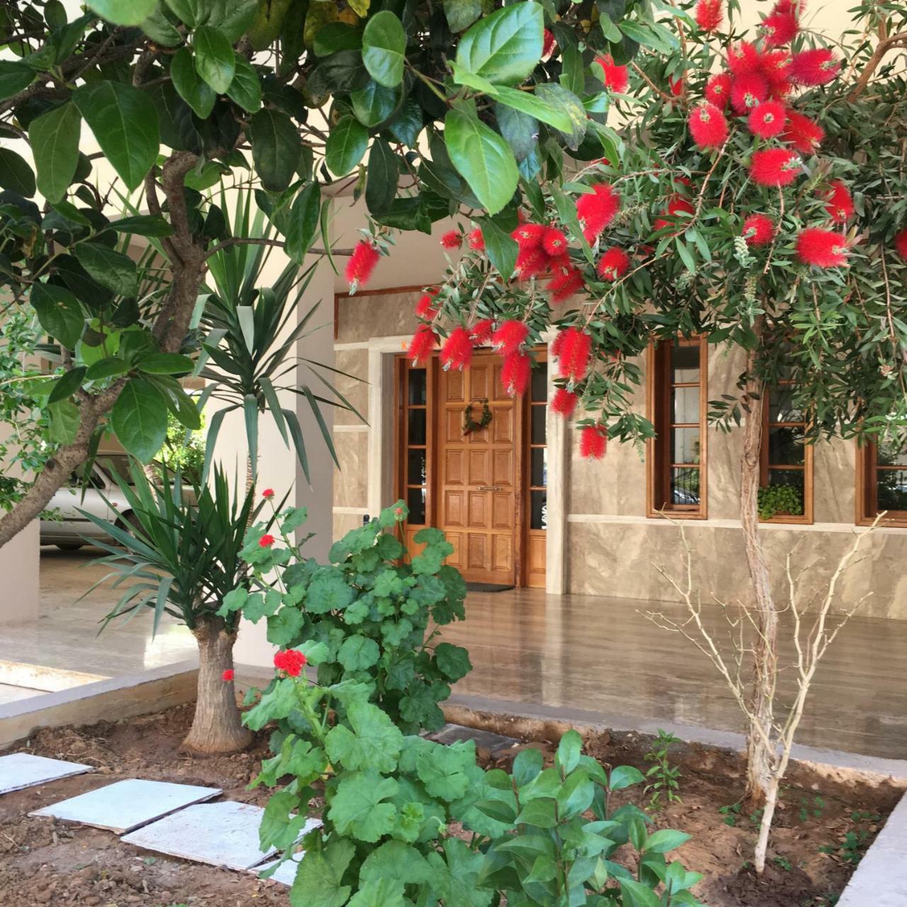 נאפפליו Camelia Apartment מראה חיצוני תמונה